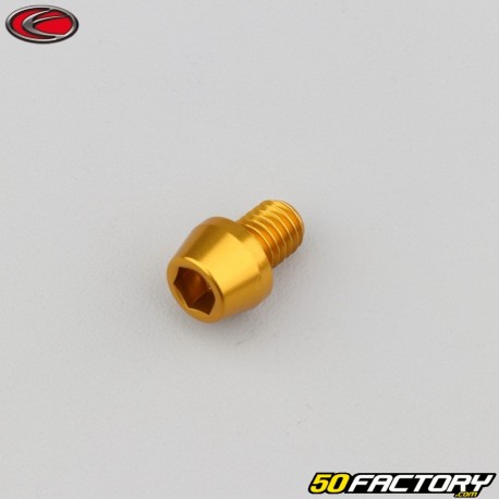 8x10 mm screw conical BTR head Evotech gold (single)