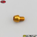 8x10 mm vite testa BTR conica Evotech gold (singola)