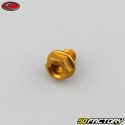 8x10 mm vite testa esagonale Evotech base oro (singola)