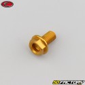 8x15 mm screw hex head Evotech gold base (single)