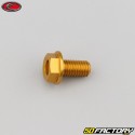 8x15 mm screw hex head Evotech gold base (single)