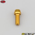 8x20 mm screw conical BTR head Evotech gold (single)