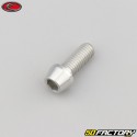 8x20 mm screw conical BTR head Evotech gray (per unit)