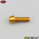 8x25 mm screw conical BTR head Evotech gold (single)