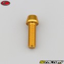 8x25 mm screw conical BTR head Evotech gold (single)