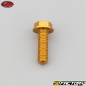 Tornillo de cabeza hexagonal Evotech de 8x25 mm base dorada (simple)