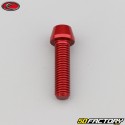 8x30 mm vite testa BTR conica rossa Evotech (per unità)