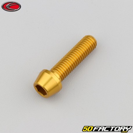 8x30 mm parafuso cônico cabeça BTR Evotech ouro (simples)