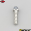 Tornillo de 8x30 mm cabeza cónica BTR Evotech gris (por unidad)