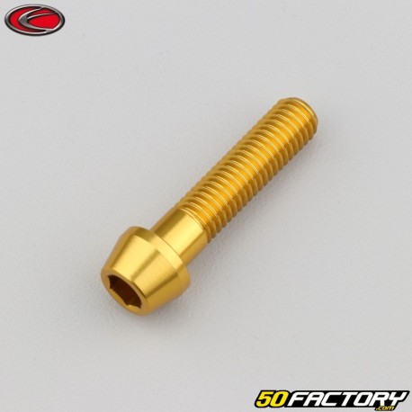 8x35 mm vite testa BTR conica Evotech gold (singola)