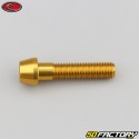 8x35 mm screw conical BTR head Evotech gold (single)