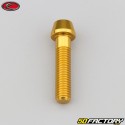 8x35 mm screw conical BTR head Evotech gold (single)