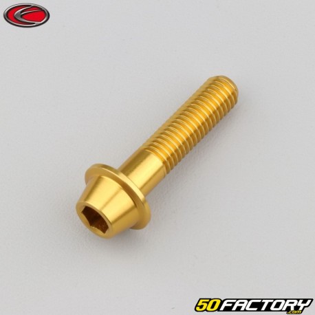 Tornillos de 8x35 mm cabeza BTR abovedada base dorada Evotech (simple)