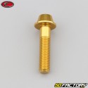 8x35 mm viti bombate testa BTR oro base Evotech (singola)