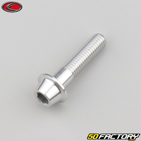 Tornillo de 8x35 mm BTR cabeza abombada gris base Evotech (por unidad)