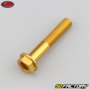 8x45 mm screw hex head Evotech gold base (single)