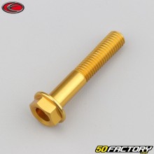 Tornillo de 8x45 mm cabeza hexagonal base  Evotech dorado (por unidad)