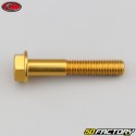 8x45 mm screw hex head Evotech gold base (single)