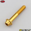 8x50 mm screws domed BTR head gold Evotech base (single)