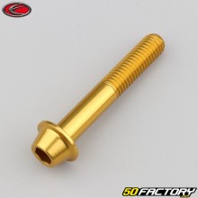 Tornillo de 8x50 mm BTR cabeza abombada base dorada Evotech (por unidad)