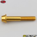 8x50 mm screws domed BTR head gold Evotech base (single)