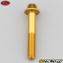 8x50 mm screws domed BTR head gold Evotech base (single)