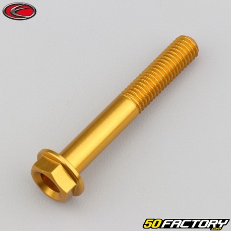 8x55 mm screw hex head Evotech gold base (single)