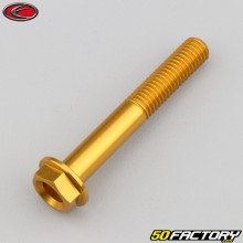 Tornillo de 8x55 mm cabeza hexagonal base  Evotech dorado (por unidad)