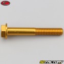 8x55 mm screw hex head Evotech gold base (single)