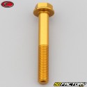 8x55 mm screw hex head Evotech gold base (single)