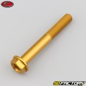 8x60 mm screw hex head Evotech gold base (single)