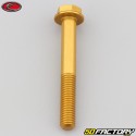 8x60 mm screw hex head Evotech gold base (single)