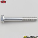 8x60 mm screw hex head gray Evotech base (single)