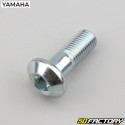 Tornillos y tuercas de corona Yamaha YFZ 450R, Raptor 700 ...