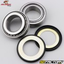 Roulements de colonne de direction Honda CR 125, 250 R (1993 - 2007), TM EN, MX... All Balls