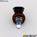 HXNUMXV XNUMXW Phonoc Headlight Bulbsar Super white (pack of XNUMX)