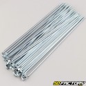 RayRuote da 3x185 mm con nippli (raggi 36) V1