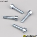 Cuneo pacco lamellare da 5 mm Minarelli orizzontale MBK Nitro,  Ovetto,  Yamaha... 50 2T Easyboost