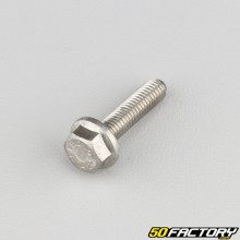 6x25 mm hexagonal head screws with stainless steel base (per unit)