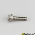 6x25 mm screw hexagonal head with stainless steel base (per unit)