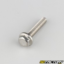6x30 mm hexagonal head screws with stainless steel base (per unit)