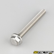 6x50 mm hexagonal head screws with stainless steel base (per unit)