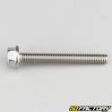 6x50 mm screw hexagonal head with stainless steel base (per unit)
