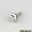 10x25 mm screw hexagonal head with stainless steel base (per unit)