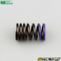 Valve spring Minarelli WR VVA Yamaha MT Fantic XEF...125