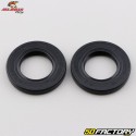 Cuscinetti e paraoli ruota posteriore Kawasaki KX 80 (1998 - 2000), 85 (dal 2001), 112... All Balls