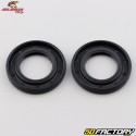 Cuscinetti e paraoli ruota posteriore Kawasaki KX 80 (1998 - 2000), 85 (dal 2001), 112... All Balls