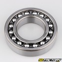 1209 Bearing