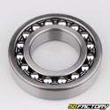 1209 Bearing