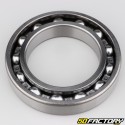 6014 Bearing